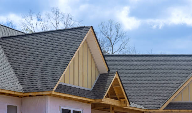 Best Sheet Metal Roofing  in Layhill, MD